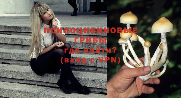 кокс Магас
