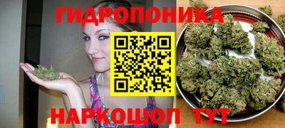 стафф Будённовск