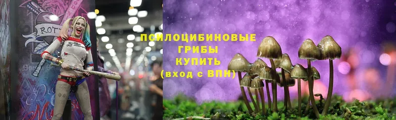 Галлюциногенные грибы MAGIC MUSHROOMS  Железноводск 