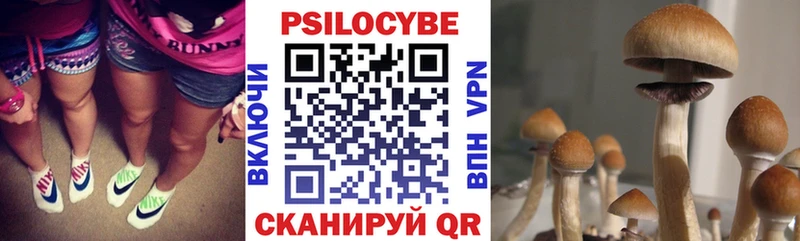 Псилоцибиновые грибы мицелий  Железноводск 
