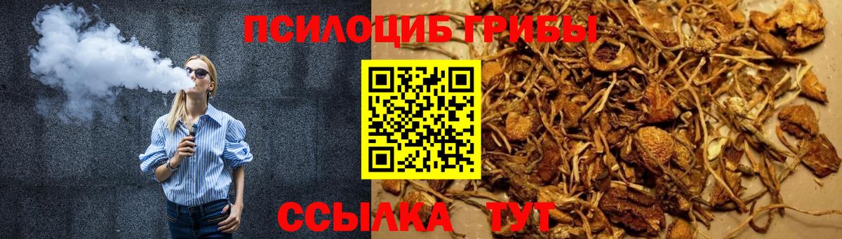 Железноводск  цены наркотик  Вход с VPN  Псилоцибиновые грибы GOLDEN TEACHER 