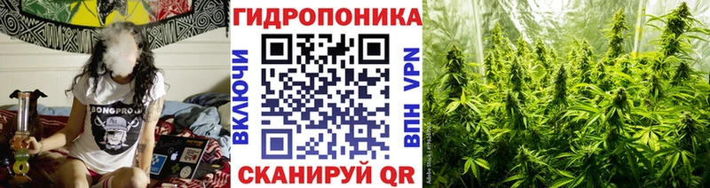 Канабис OG Kush  закладка  blacksprut ONION  Железноводск 